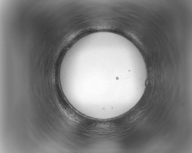 X0000064750631200603031734