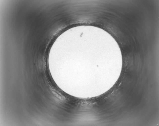 X0000064750632200603031734