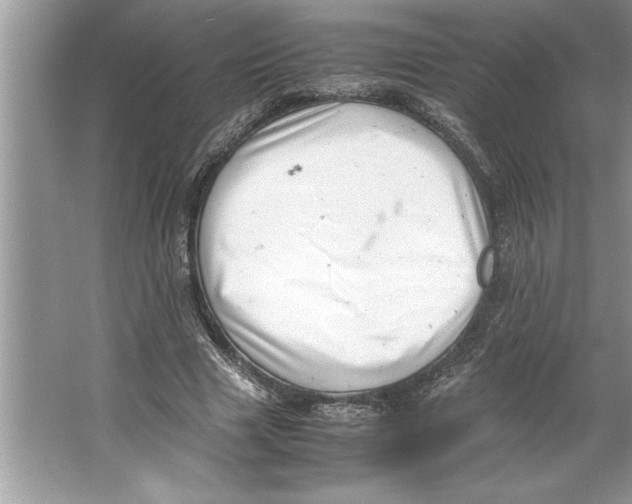 X0000064750633200603031734