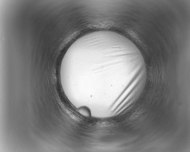 X0000064750634200603031734