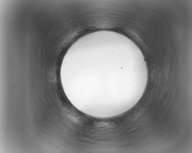 X0000064750635200603031734