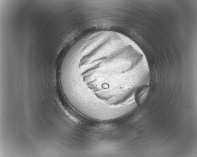 X0000064750638200603031734