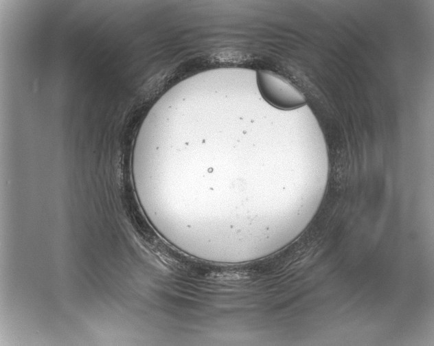 X0000064750639200603031734