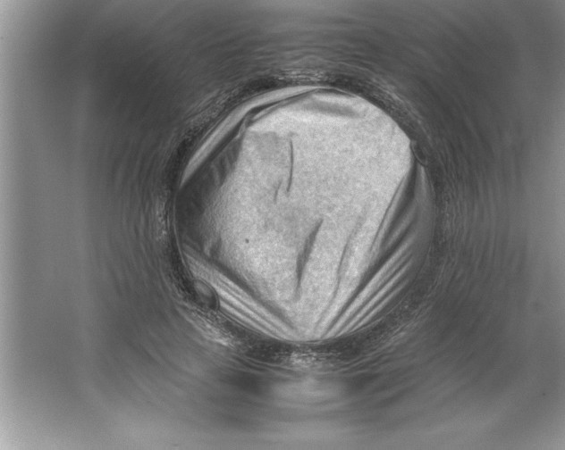 X0000064750641200603031734