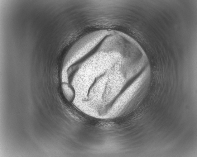 X0000064750642200603031734