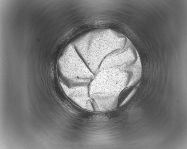 X0000064750644200603031734