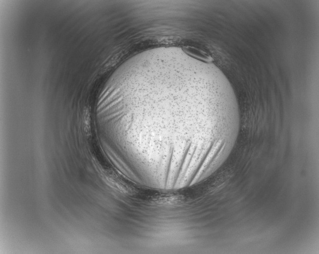 X0000064750646200603031734