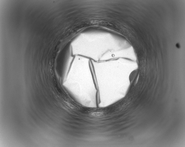 X0000064750653200603031735