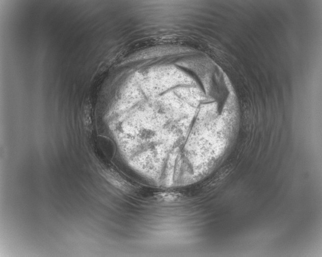 X0000064750654200603031735