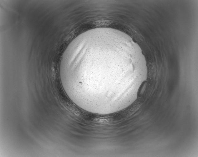 X0000064750655200603031735