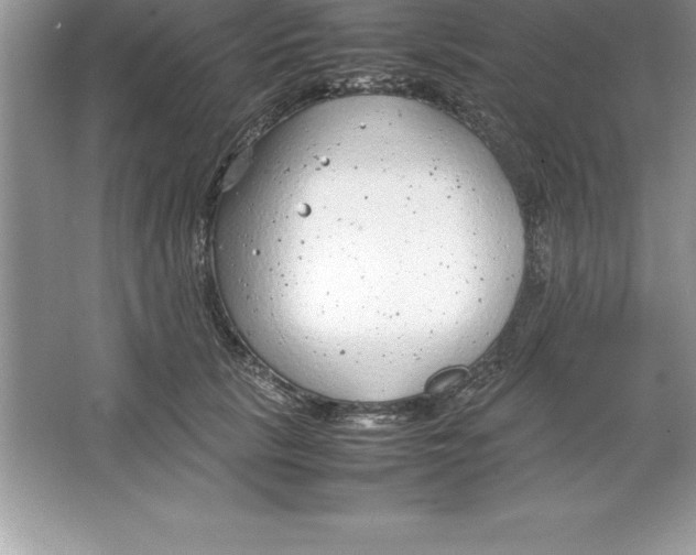 X0000064750657200603031735