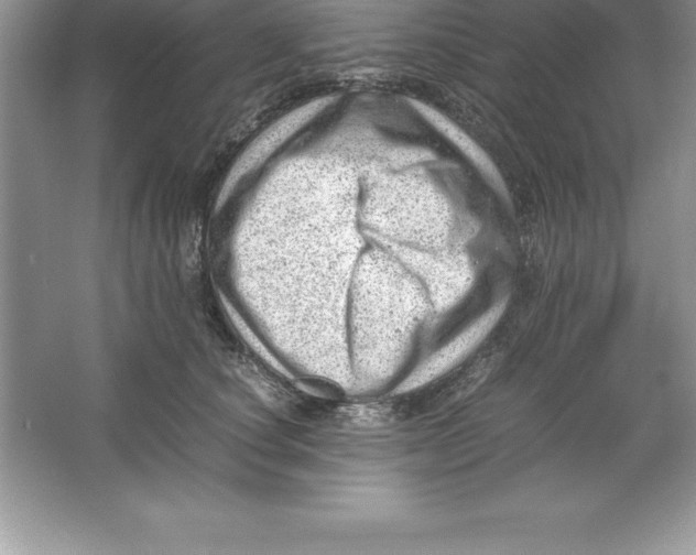 X0000064750660200603031735