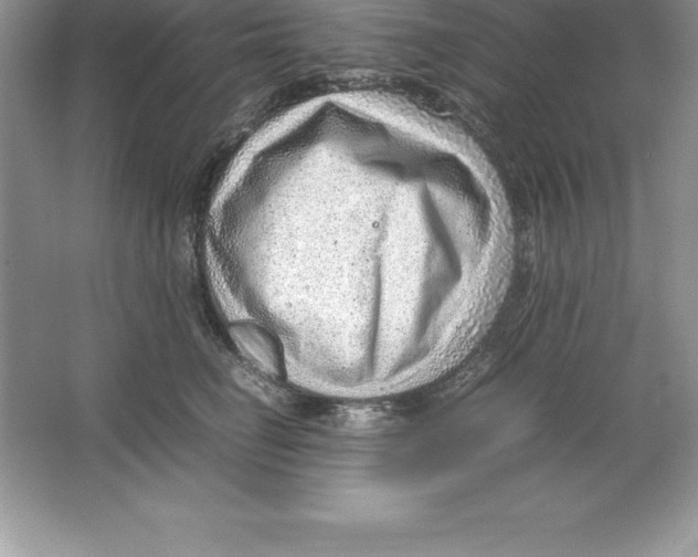 X0000064750662200603031735