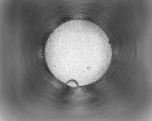 X0000064750663200603031735