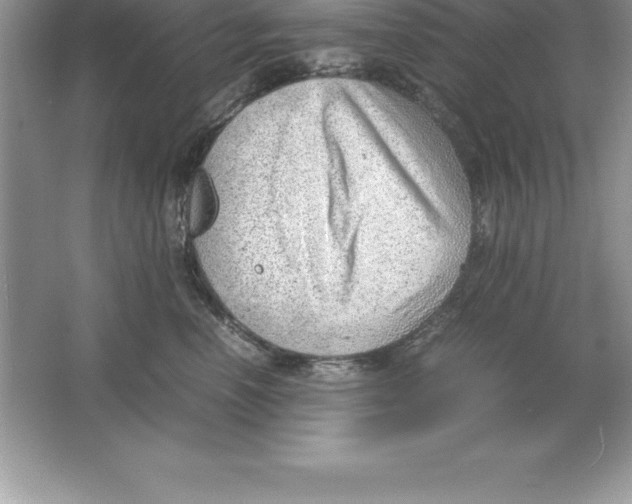 X0000064750666200603031735