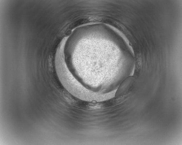 X0000064750667200603031735