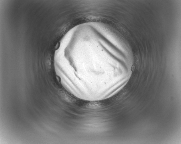 X0000064750668200603031735