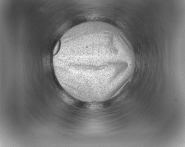 X0000064750670200603031735