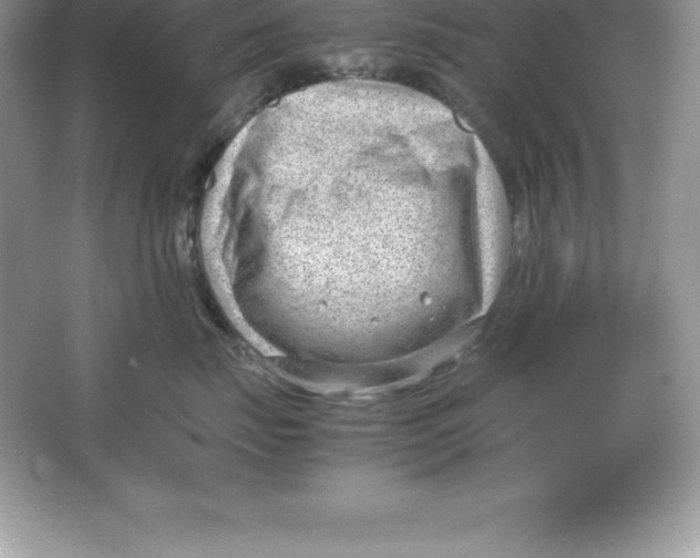 X0000064750671200603031735