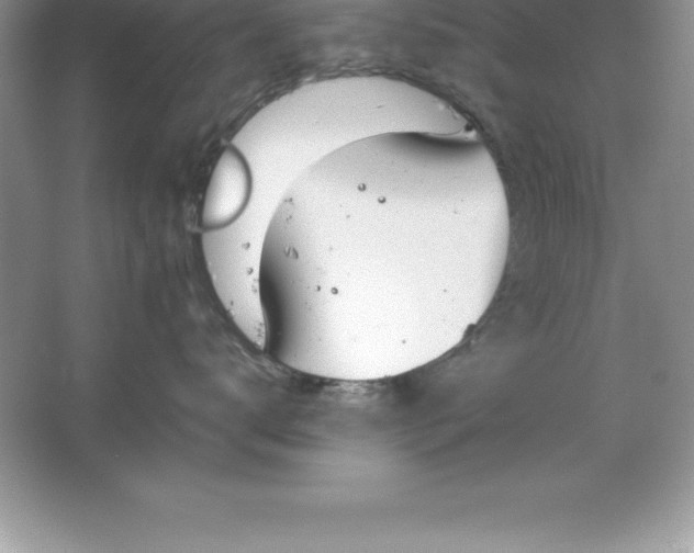 X0000064750672200603031735