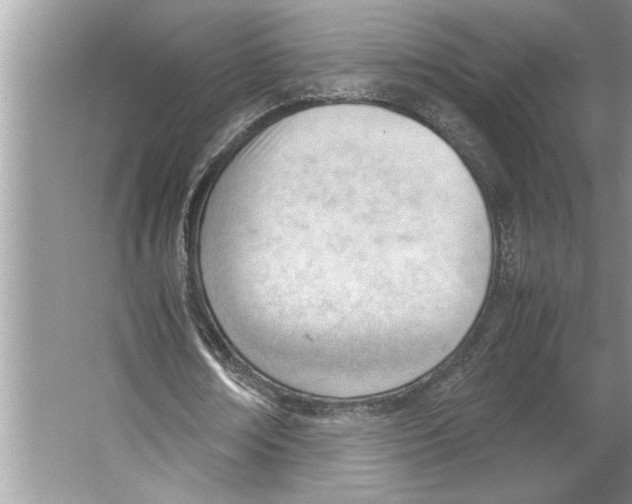 X0000064750674200603031734