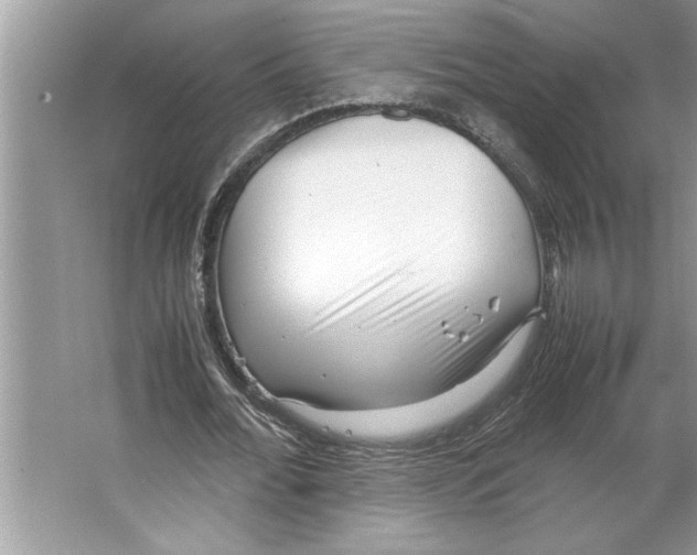 X0000064750676200603031734