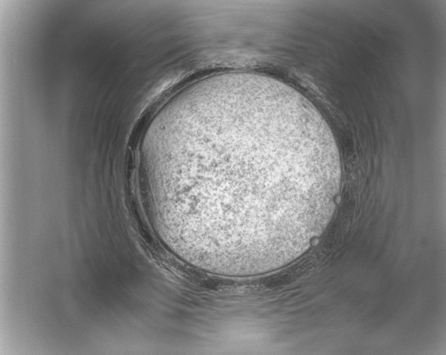 X0000064750679200603031734