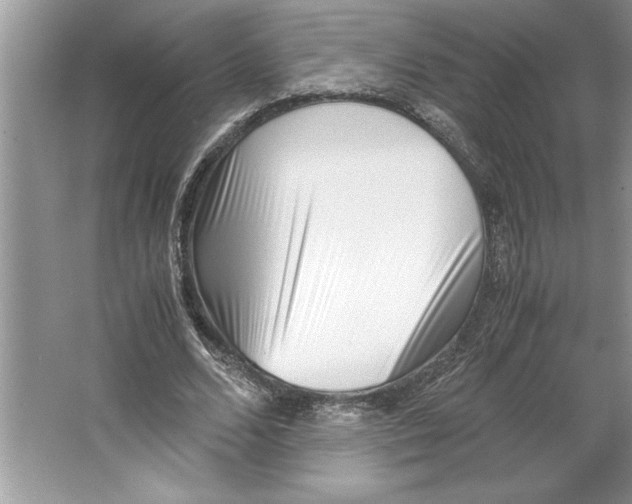 X0000064750680200603031734