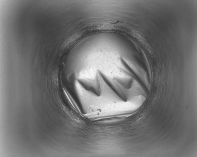 X0000064750681200603031734