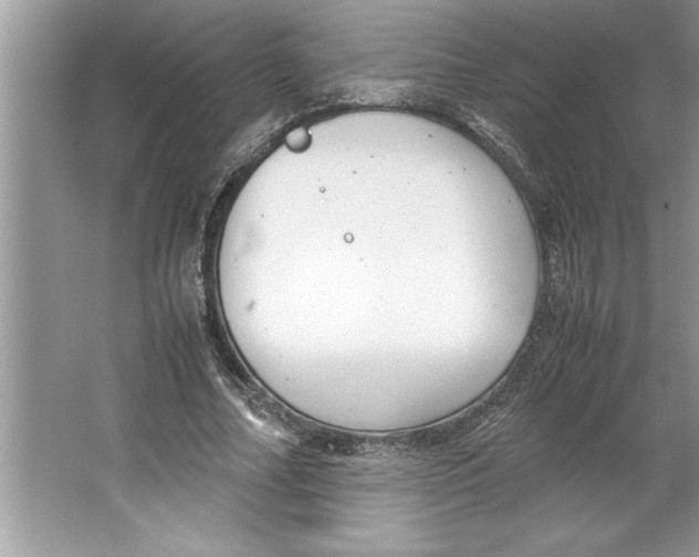 X0000064750682200603031734