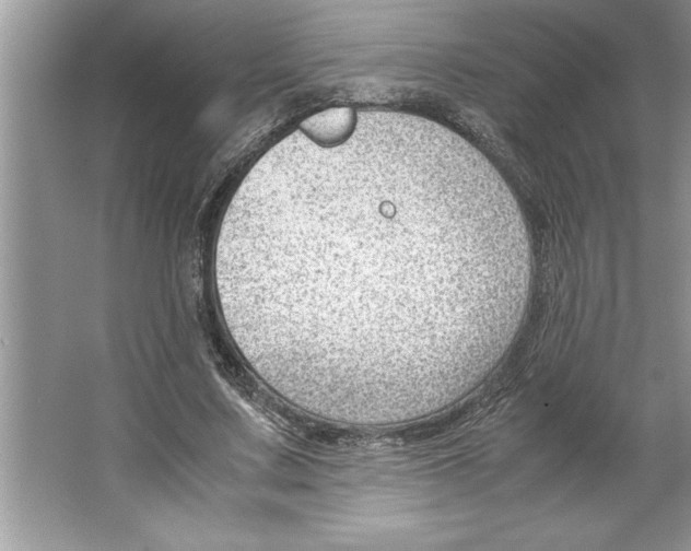 X0000064750683200603031734