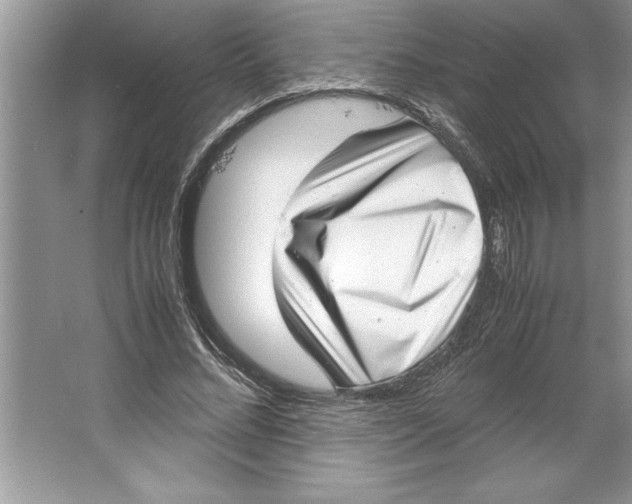 X0000064750684200603031734