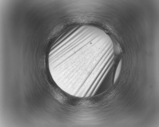 X0000064750685200603031734