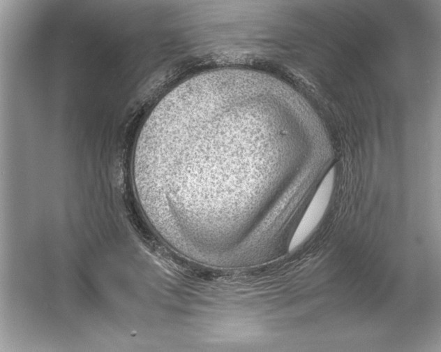 X0000064750687200603031734