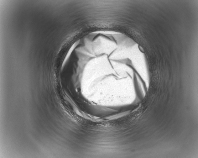 X0000064750688200603031734