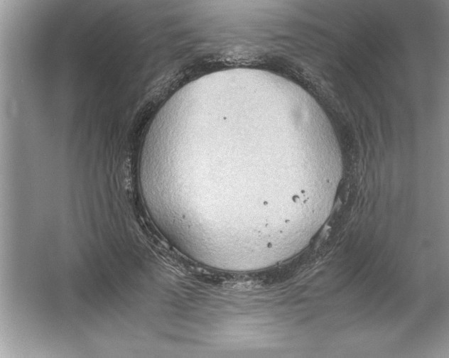 X0000064750689200603031734