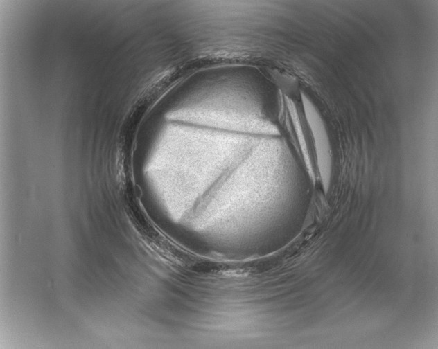 X0000064750692200603031734