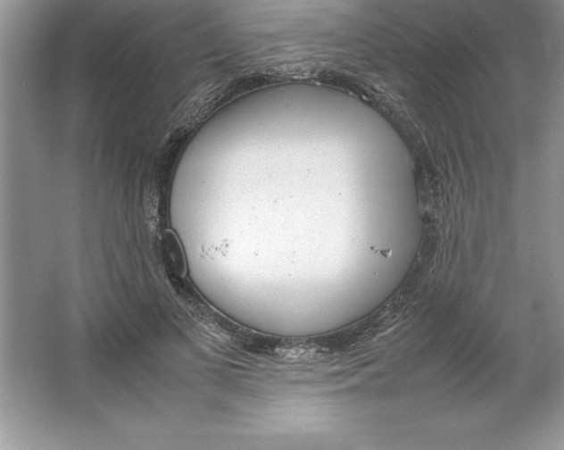 X0000064750693200603031734