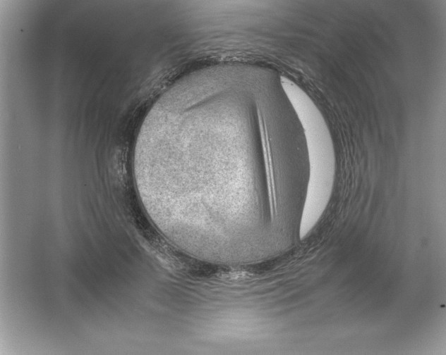 X0000064750695200603031734