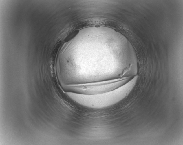 X0000064750696200603031734