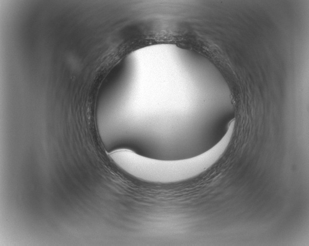 X0000064750697200603031734