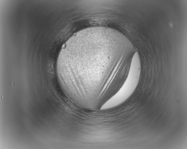 X0000064750699200603031734