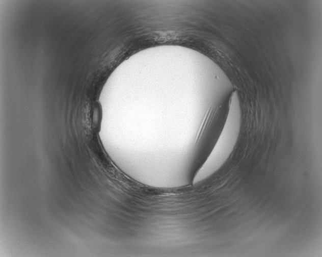 X0000064750700200603031734