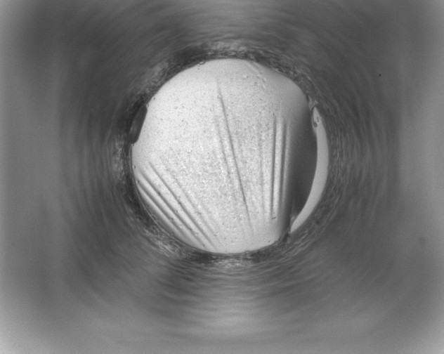 X0000064750708200603031733