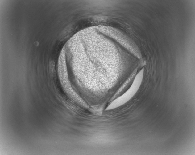 X0000064750711200603031733