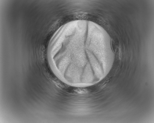 X0000064750712200603031733