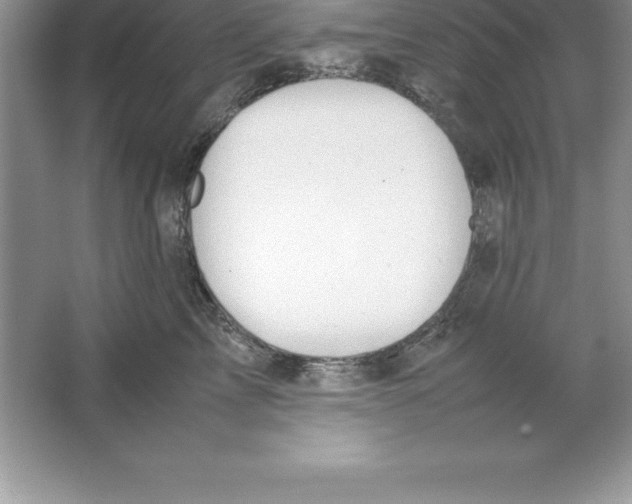 X0000064750713200603031733