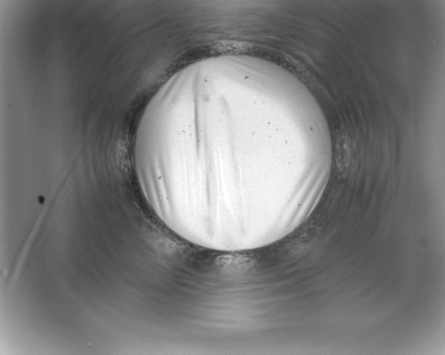 X0000064750714200603031733