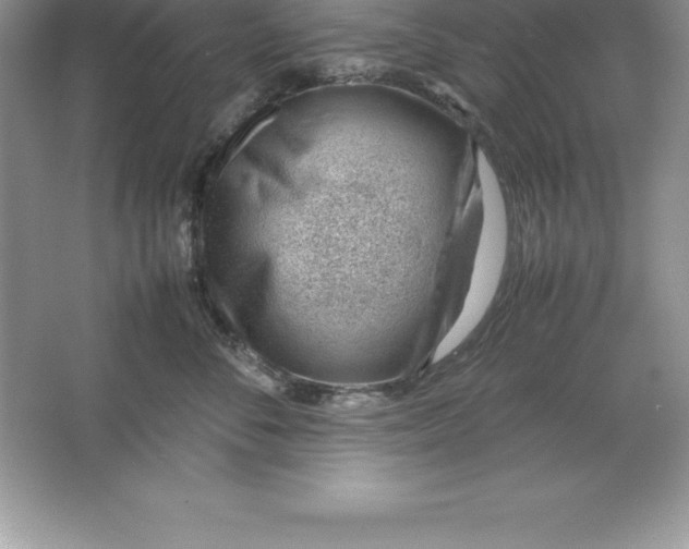 X0000064750716200603031733