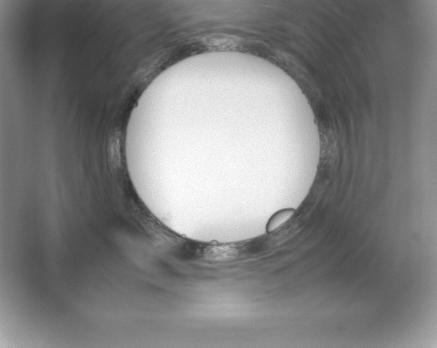 X0000064750717200603031733